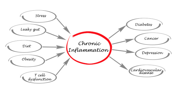 Causes and effects of inflammation in the human body