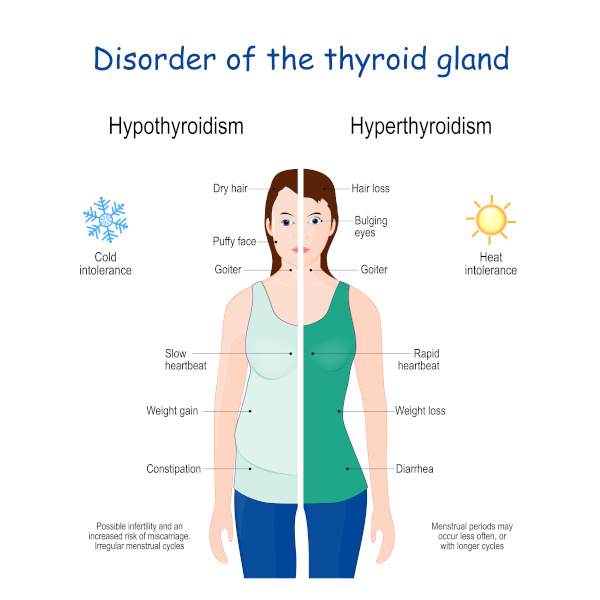 selenium benefits for thyroid - improve thyroid health with selenium