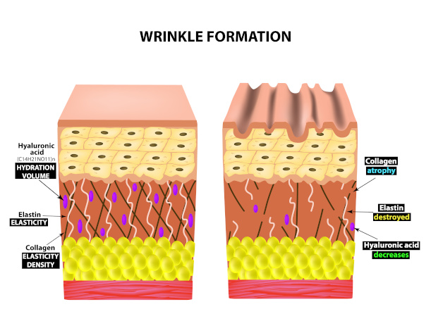 How a healthy balanced diet reduces belly fat and improves skin tone.